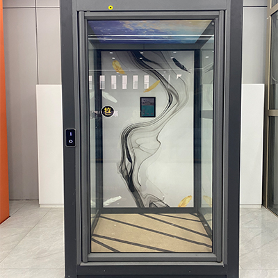 Indoor 2 floors 3 floors home lift elevator with shaft